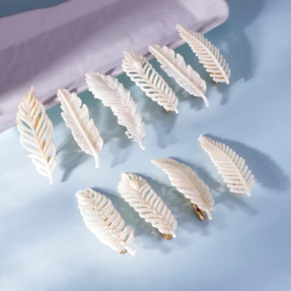 Trendy Korean Hair Clip Pair (2)