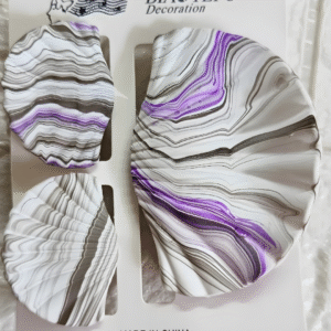 Trendy Ocean Shell Design Large Size Hair Claw Clip Set